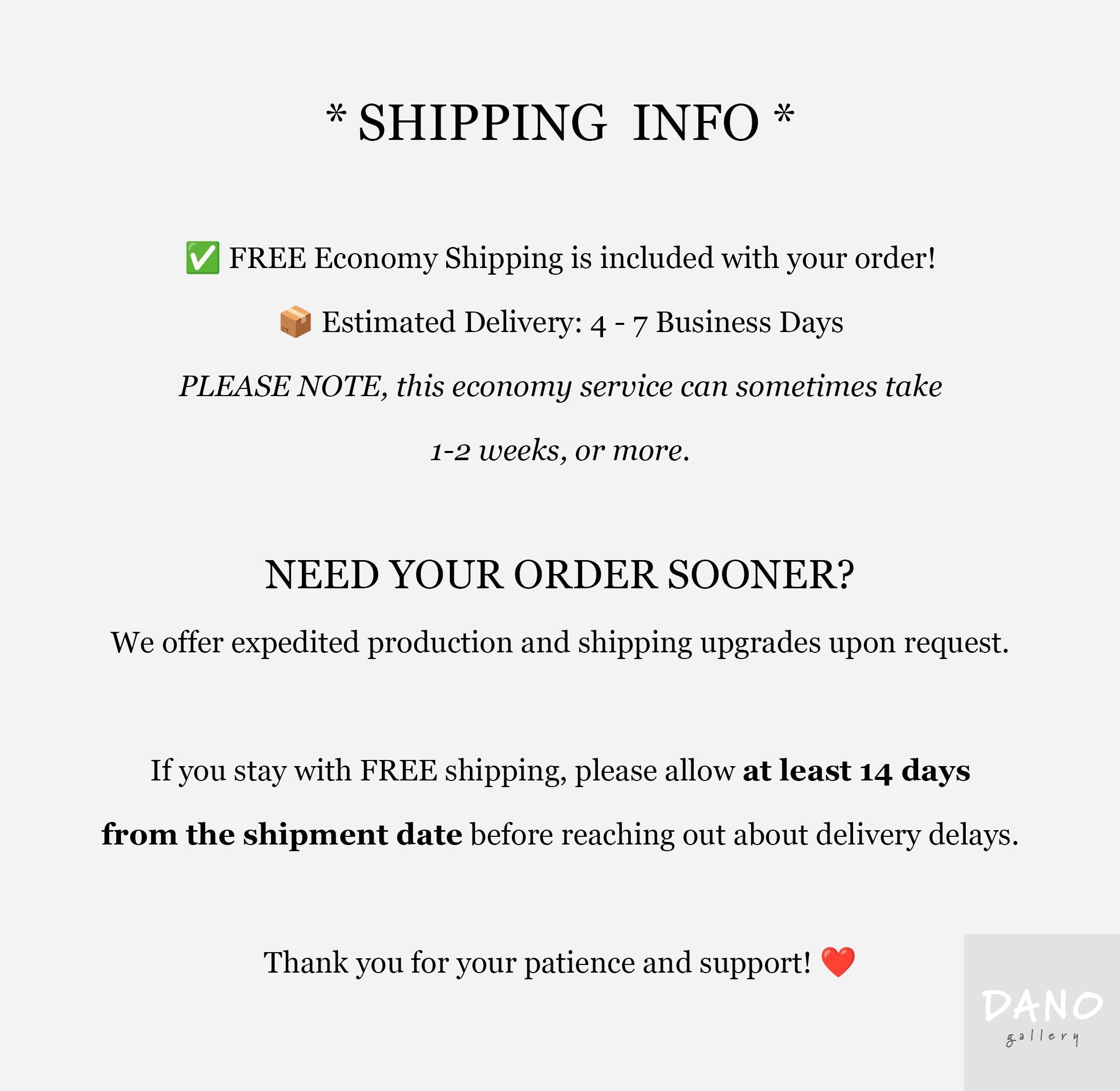 text that provides shipping information, including a note about the economy shipping service and a reminder to order soon.